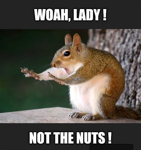 nut memes|Funny Nut GIFs